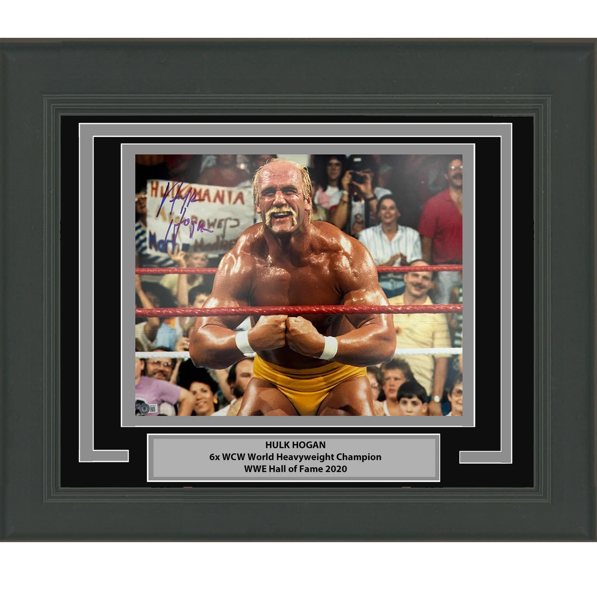 Las mejores ofertas en Hulk Hogan WWE Wrestling artículos con