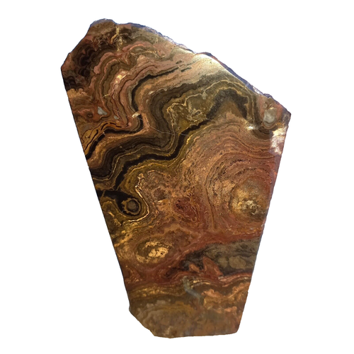 0,35Kg Stromatolith Anschliff Stromatolite Lebensfluß Fossil Cyanobakterien XW 0,35Kg Stromatolith Anschliff Stromatolite Lebensfluß Fossil Cyanobakterien XW