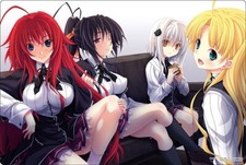 Bushiroad Rubber Mat V2 Fujimi Fantasia High School DxD Rias Asia Akeno Koneko