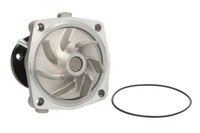 Thermotec D1G042TT Wasserpumpe Wapu FüR Alfa 155 164 33 Chrysler Grand Voyager