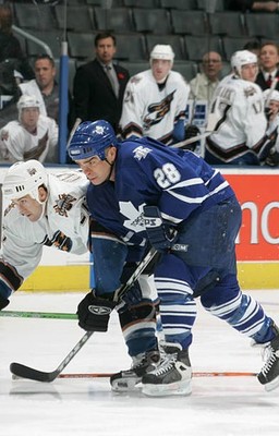 Tie Domi Toronto Maple Leafs skates to the puck at the game - Ice Hockey Photo 1