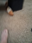 Bild 3 von 3