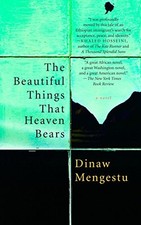 The Beautiful Things That Heaven Bears by Mengestu, Dinaw