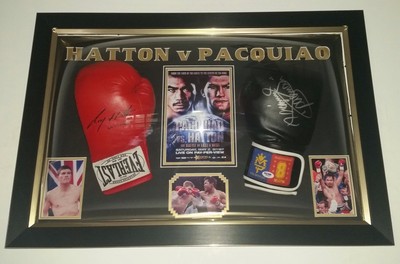 hatton boxing gloves