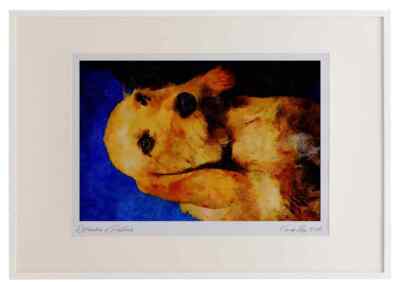 771051 Basset Fauve De Bretagne Watercolour Picture Frame