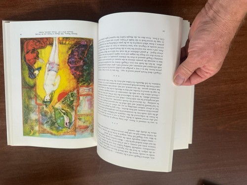Chagall; Raymond Cogniat; 1978; Crown Publishers; HC DJ Mylar; Very Good - Imagen 8 de 12
