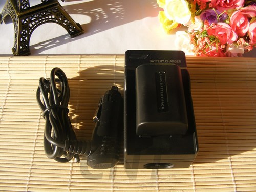 Batteria NP-FH40 per Sony DCR-SR45 DCR-SR46 DCR-SR72 DCR-SR42 DCR-SR220/Caricabatterie - Foto 28 di 33