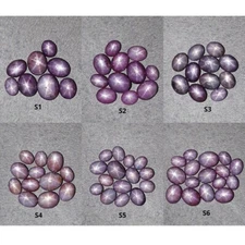 Star Ruby Gemstone Cabochon 6Ray Star Oval Shape Sets 17cts - 30cts For Jewelry