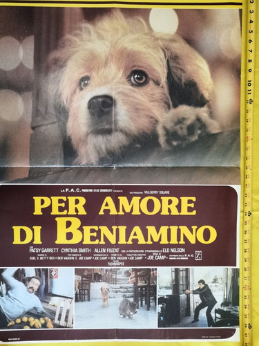 1977 For The Love Of Benji Cynthia Smith Italian Fotobusta Poster ORIG F22-1