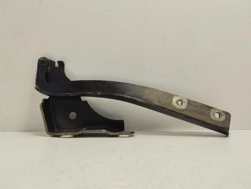 51761347 Bisagra Capo Izquierda para FIAT GRANDE PUNTO (199) 2006 186381 - Imagen 2 de 3