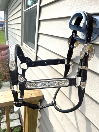 Billy Royal Silver Western Show Horse Size Halter Red Stones & Dark Oil