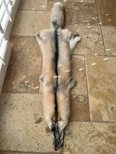 Soft Tanned Ranched Finnish SAGA Golden Island Hybrid Red Arctic Fox Pelt