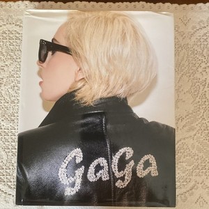 Lady Gaga Terry Richardson | eBay