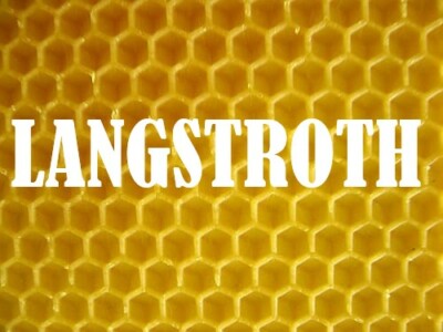 LANGSTROTH 420/200 mm Bienenwachs Mittelwände ca 18 st / 1,5kg