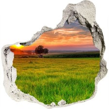 Meadow at sunset wall decal wall sticker wall sticker 3D hole