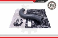 Esen SKV Ladeluftschlauch FüR Fiat Ulysse 179AX 2.2 JTD Lancia Phedra 179