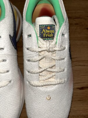 NIKE AIR ZOOM VICTORY TOUR 3 NRG ALWAYS FRESH MEN'S GOLF SHOES