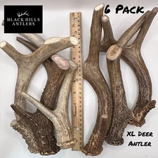 XL Premium Deer Antler Dog chew 6 Pack