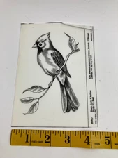 Cardinal Bird on Tree Branch Mini Picture to Paint TRI CHEM Liquid Embroidery
