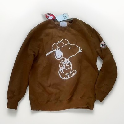 (New) Zara Peanuts Snoopy Boys Sweatshirt Size 13/14