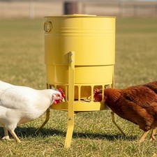 Chicken Feeder No Waste for Coop & Outdoors, 16 Port 23kg Yellow Poultry Feeder 