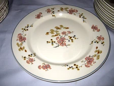 Steelite International SLE11 Large Plate 11 7/8" England  Cherry Flowers MORE