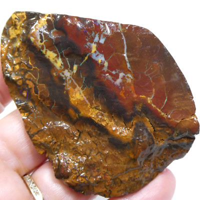 314.55 CT AUSTRALIAN ROUGH BOULDER OPAL Unpolished Gemstone Specimen Video RAW