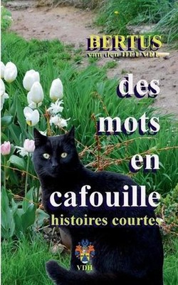 Des Mots en Cafouille: Tome 1: histoires courtes by Bertus Van Den Heuvel (Frenc