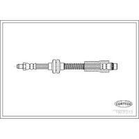 Corteco 19031273 Bremsschlauch FüR Peugeot Citroen Fiat Lancia 807 Expert C8 EB
