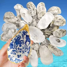 4"-5" Large Oyster Shells for Crafts -15PCS Real Natural Oyster Shells Bulk