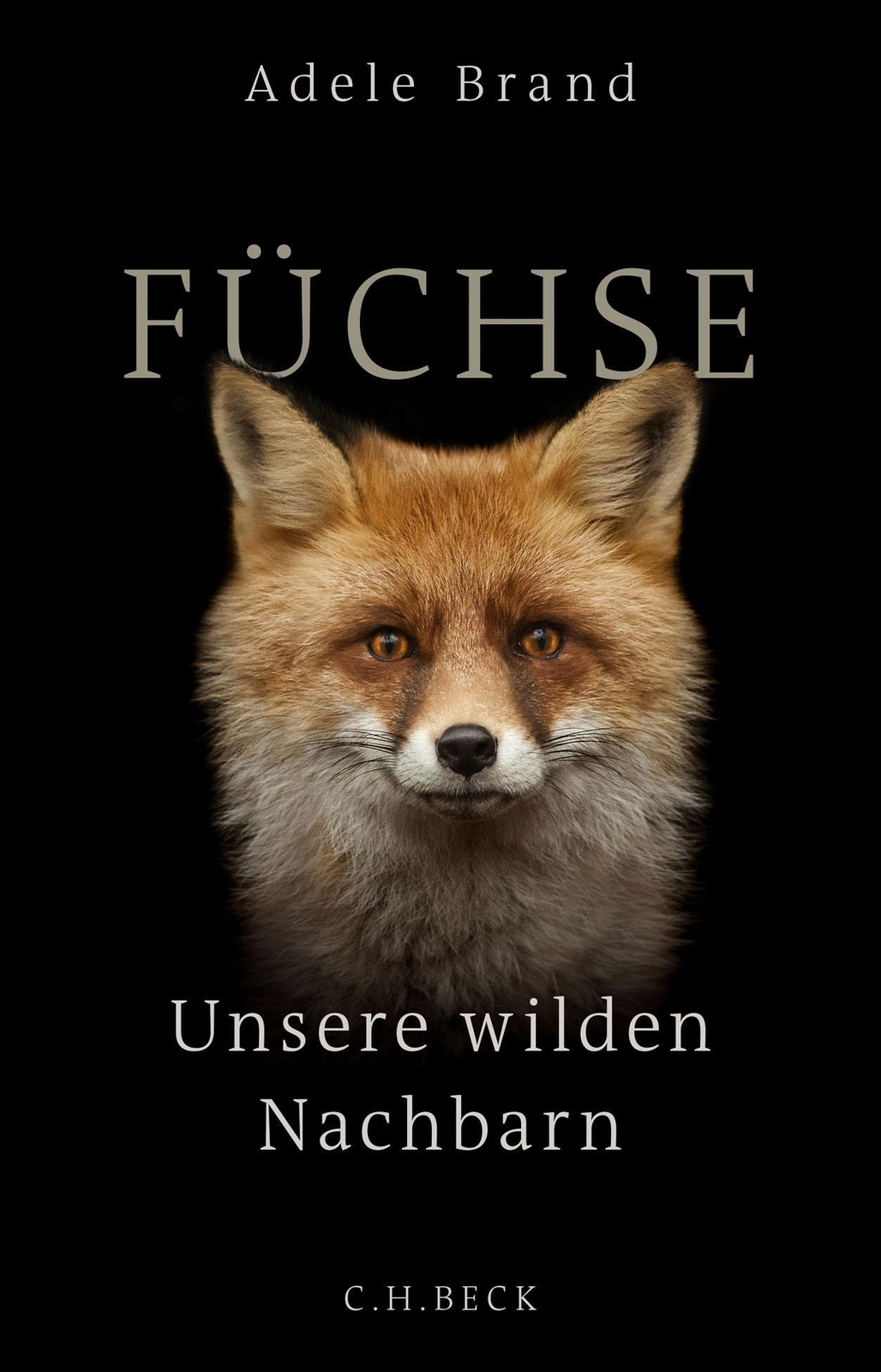 Thumbnail - Adele Brand | Füchse | Buch | Deutsch (2020) | Unsere Wilden Nachbarn