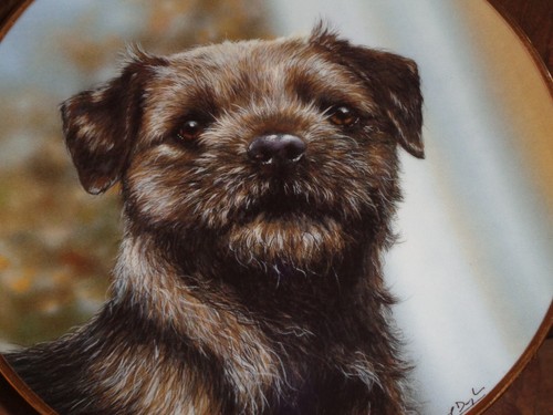 Danbury Mint Collectors Plate EVER ALERT From THE BORDER TERRIER
