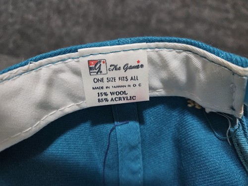Vintage The Game NBA Charlotte Hornets Snapback Hat Cap 354 of 6000 - Picture 8 of 9