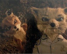 JASON SCHWARTZMAN SIGNED 8x10 PHOTO FANTASTIC MR FOX AUTOGRAPH AUTHENTIC COA