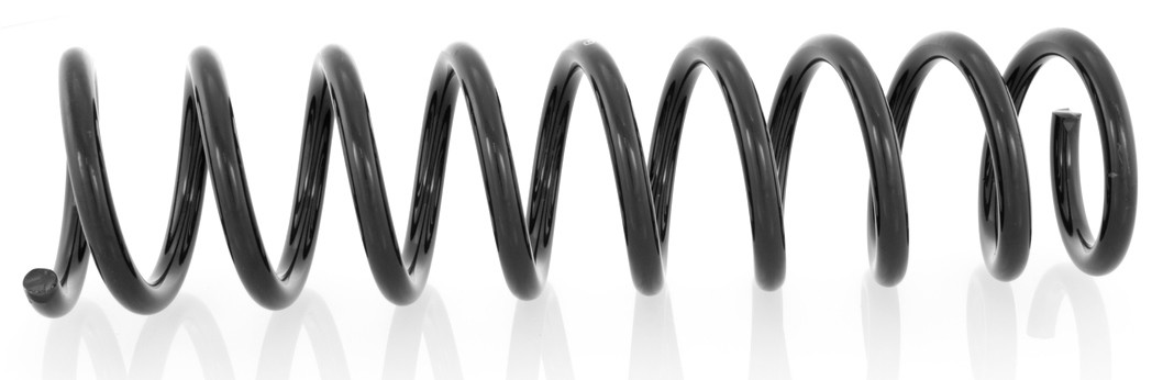 1x Coil Spring Rear Right=Left GH-221504