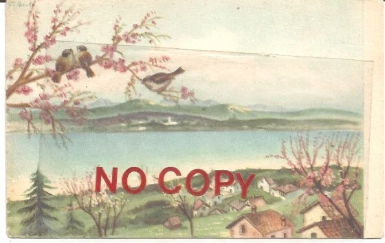 Foto 1 di 2