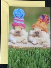 Happy Birthday Card  Hallmark Greeting Card Humorous