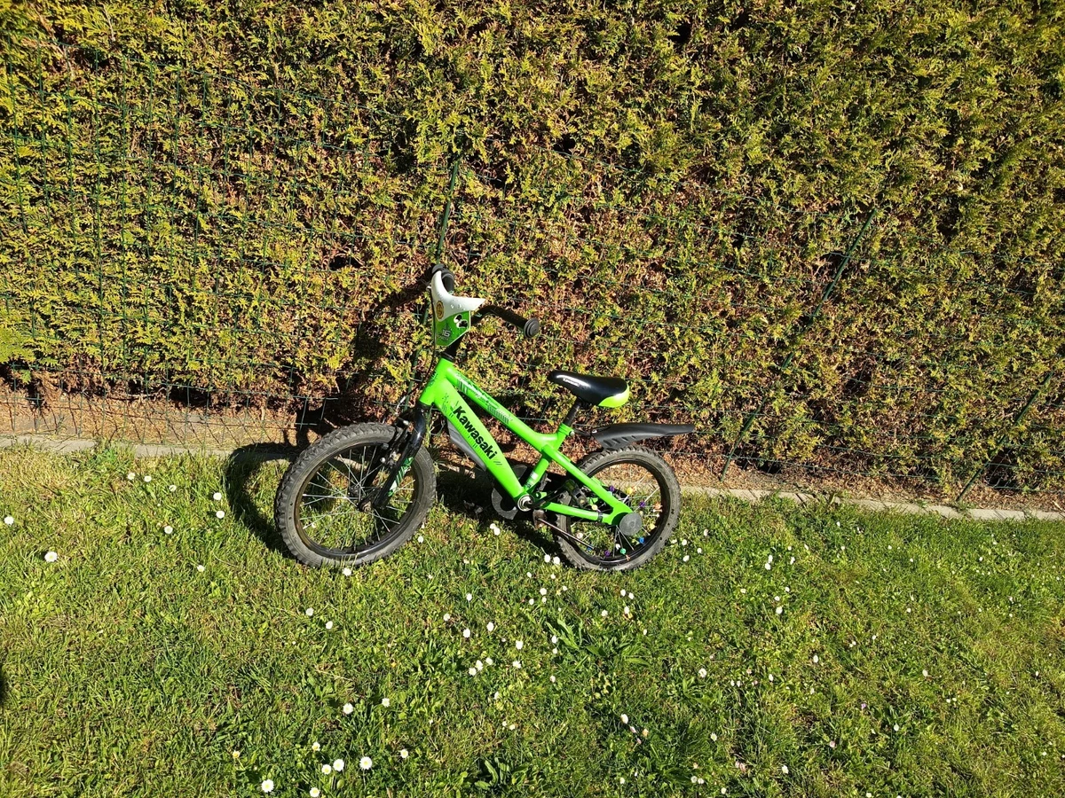 Kawasaki Kinderfahrrder online kaufen | eBay.de