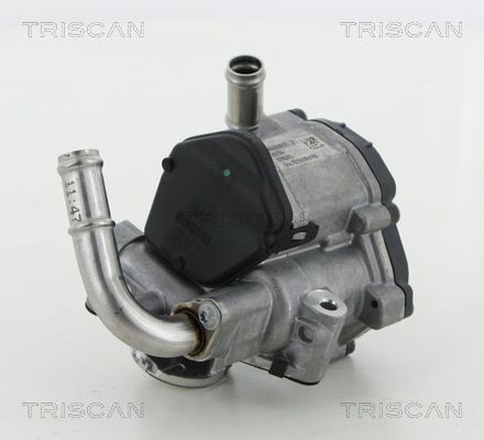 Triscan Agr-Ventil 8813 29069 FüR Audi Seat Skoda VW-image