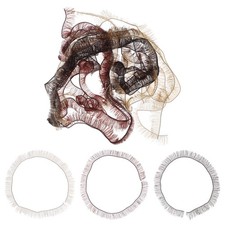  15 Pcs False Eye Lashes Fake Eyelash Dolly Fancy Dress Eyelashes