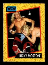 1991 Impel WCW Wrestling Base #1-160 ~ Choose Your Card