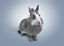 thumbnail 2  - Rosewood Boredom Breaker Rabbit Guinea Pig Hamster Toy - Carrot Dream Catcher