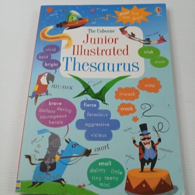 Usborne Junior Illustrated Thesaurus by James Maclaine Paperback Book