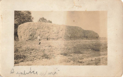 Postcard RPPC c.1910 Early 20th Ag Scene Hay Stack 126 Ft. | Beatrice Ward