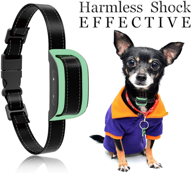 best bark collar 2018