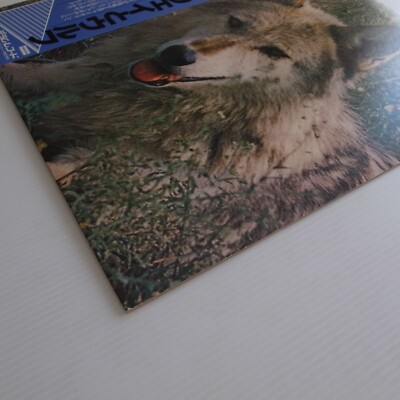 その他 LP Darryl Ways Wolf Canis Lupus K16P9078 DREAM /00260 Darryl Way's Wolf ‎– Canis Lupus JAPAN 1979 NEAR MINT LP K16P-9078
