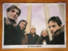 THE WALLFLOWERS Poster JACOB DYLAN