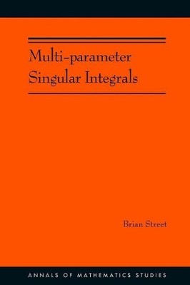 Multi-parameter Singular Integrals, Volume I - 9780691162522