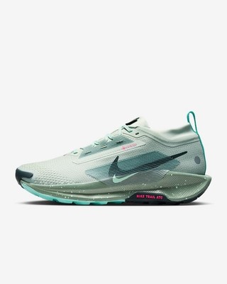 Nike Pegasus Trail 5 GORE-TEX Men display picture 2
