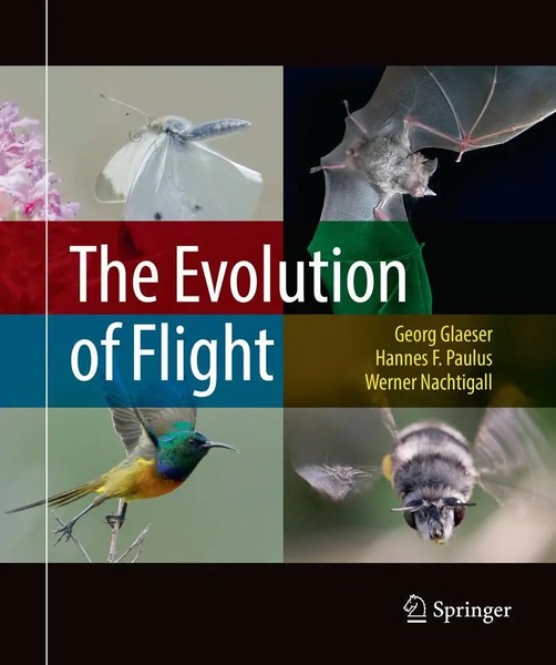 Georg Glaeser (U. A.) | The Evolution Of Flight | Taschenbuch | Englisch (2018)-image